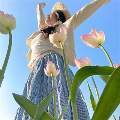 蔬菜海盗历险记